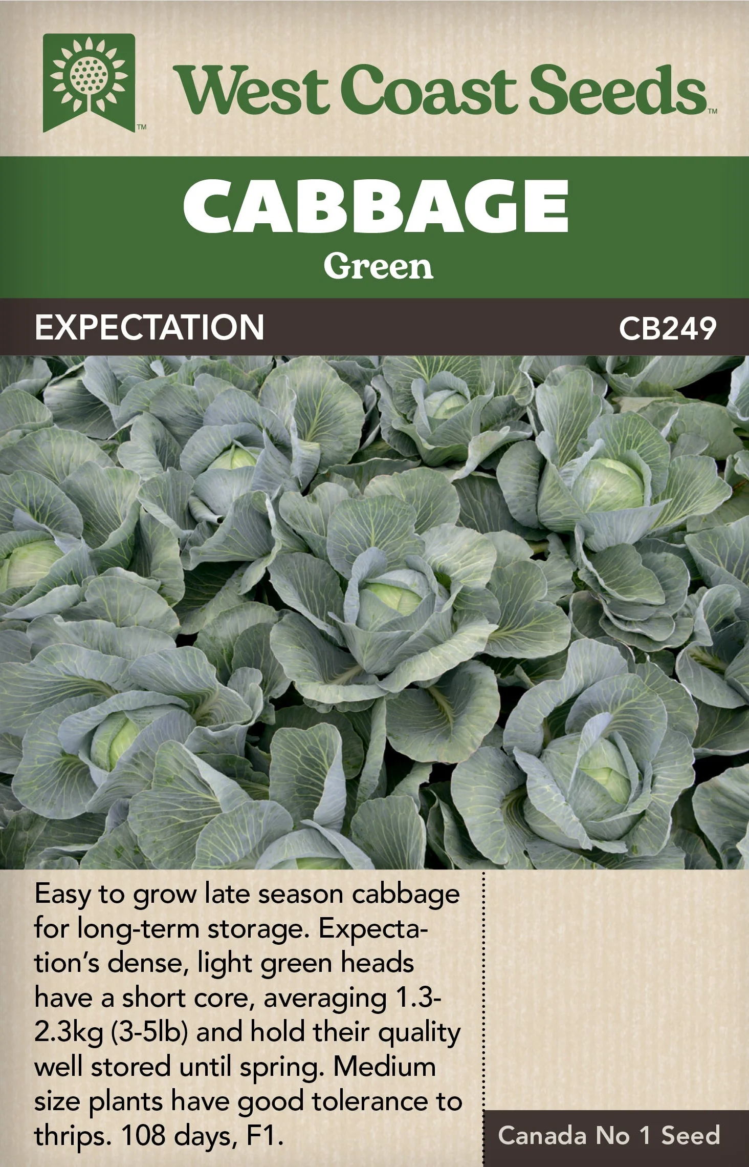 Cabbage Expectation - West Coast Seeds