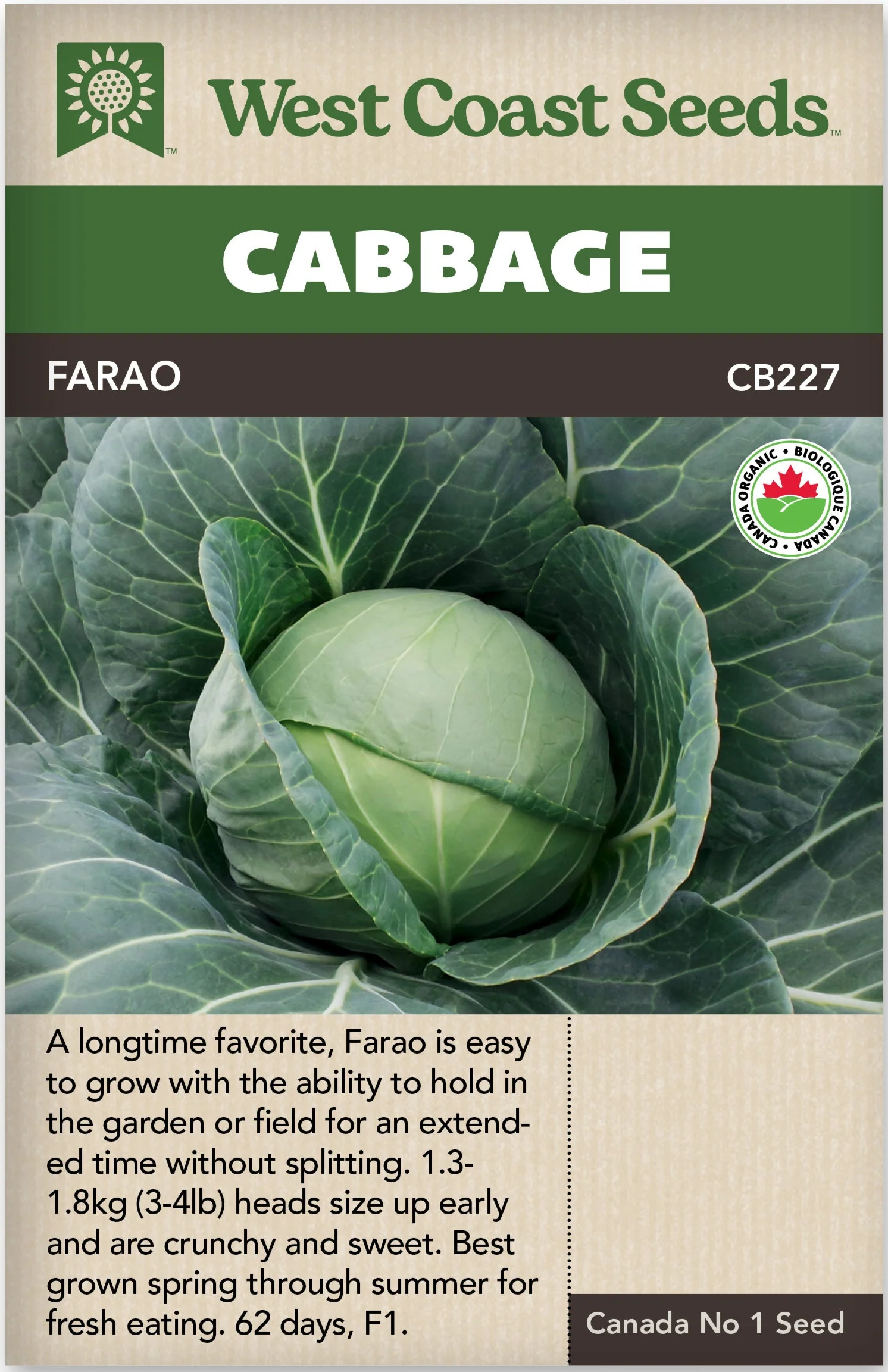Organic Cabbage Farao - West Coast Seeds