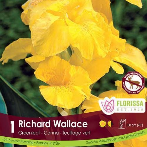Canna, Greenleaf - Richard Wallace