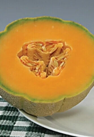 Cantaloupe Halona Hybrid - Ontario Seed Company