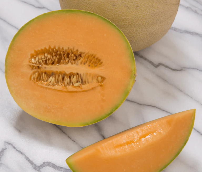 Cantaloupe Sarah's Choice - Ontario Seed Company