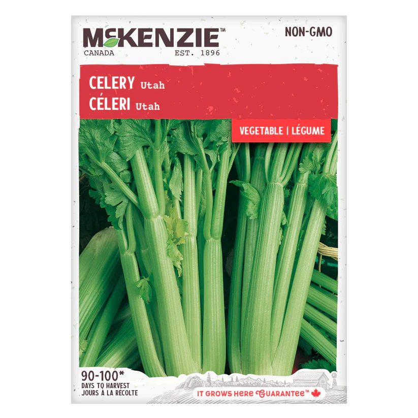 Celery Utah - McKenzie Seeds
