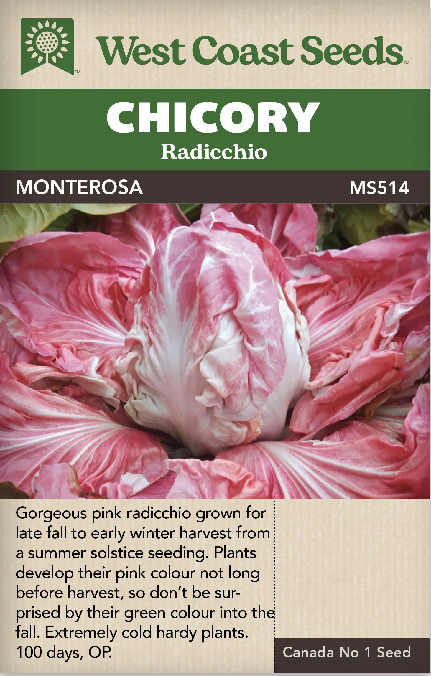 Chicory Monterosa - West Coast Seeds