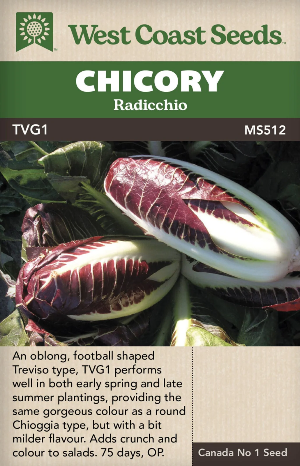 Chicory Radicchio TVG1 - West Coast Seeds