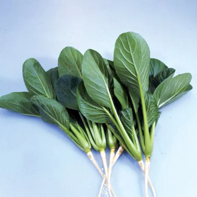 Greens Mixture - Pacific Northwest Seeds - Image 2