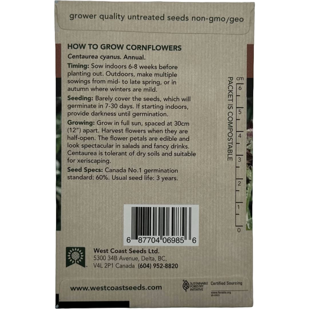 Cornflower Black Ball - West Coast Seeds - Image 3