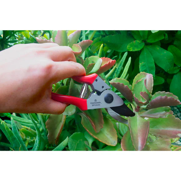 Corona BP13630 Yard Essentials Pocket Pruner - Image 6