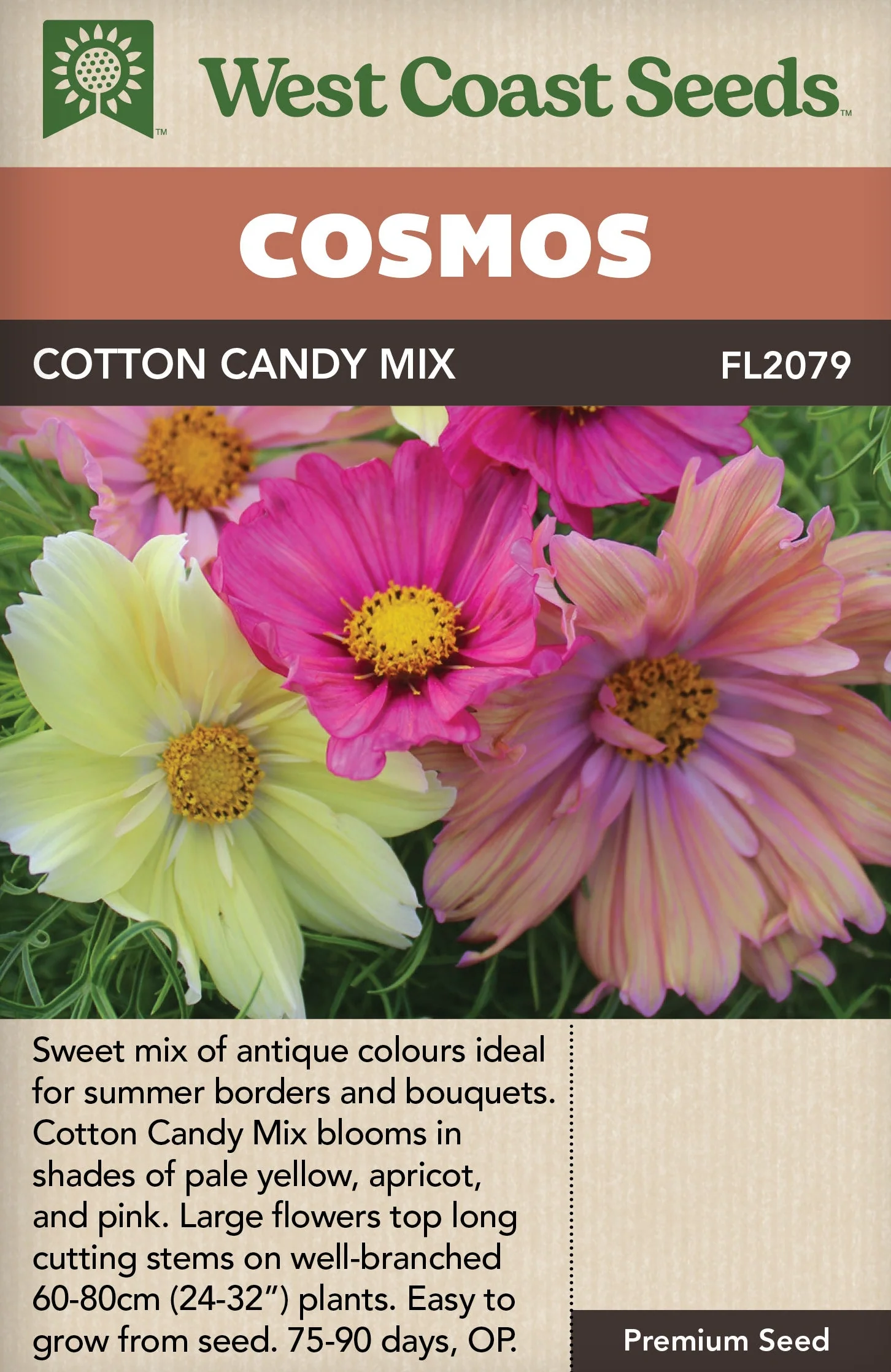 Cosmos Cotton Candy Mix - West Coast Seeds