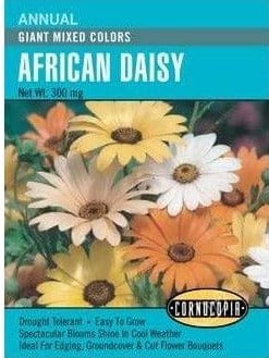 African Daisy Giants Mix - Cornucopia Seeds
