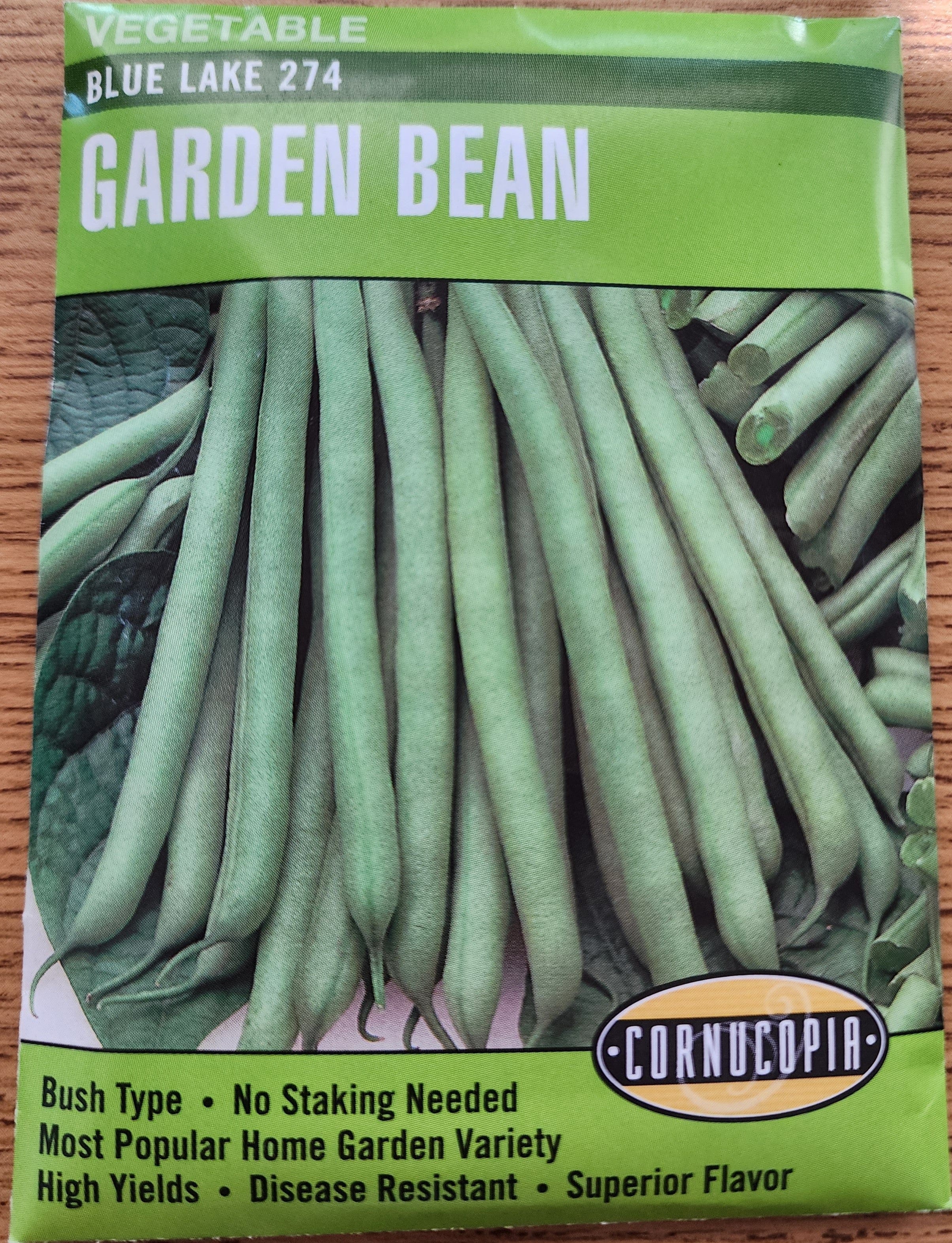 Bean Blue Lake 274 - Cornucopia Seeds - Image 3