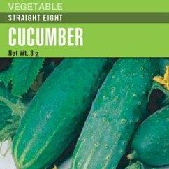 Cucumber Straight Eight - Cornucopia Seeds
