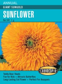 Sunflower Giant Sungold, Teddy Bear - Cornucopia Seeds