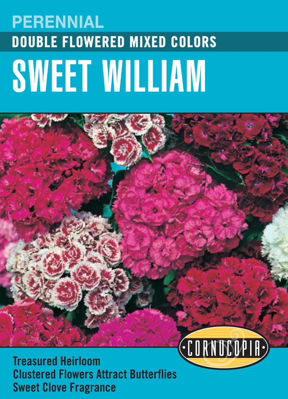 Sweet William Double Flowered Mix - Cornucopia Seeds