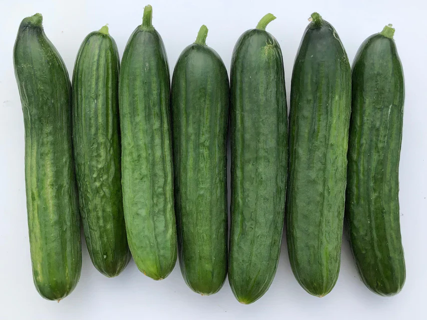 Cucumber Manny - West Coast Seeds - Image 2