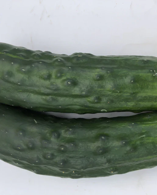 Organic Cucumber Marketmore 76 - West Coast Seeds - Image 2