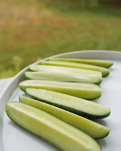 Cucumber Pickling Anya - West Coast Seeds - Image 3