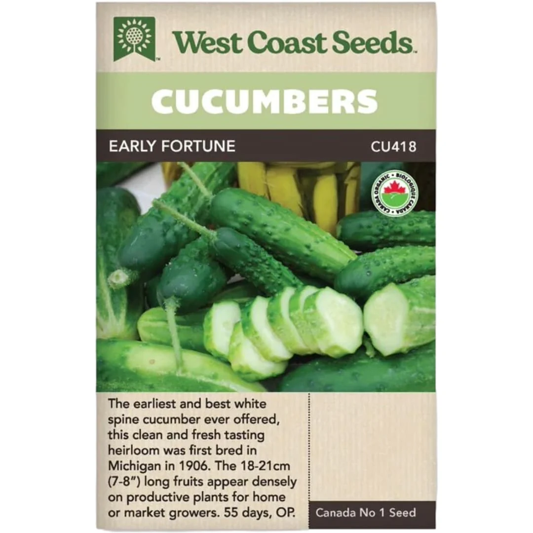 Organic Cucumbers Early Fortune - West Coast Seeds