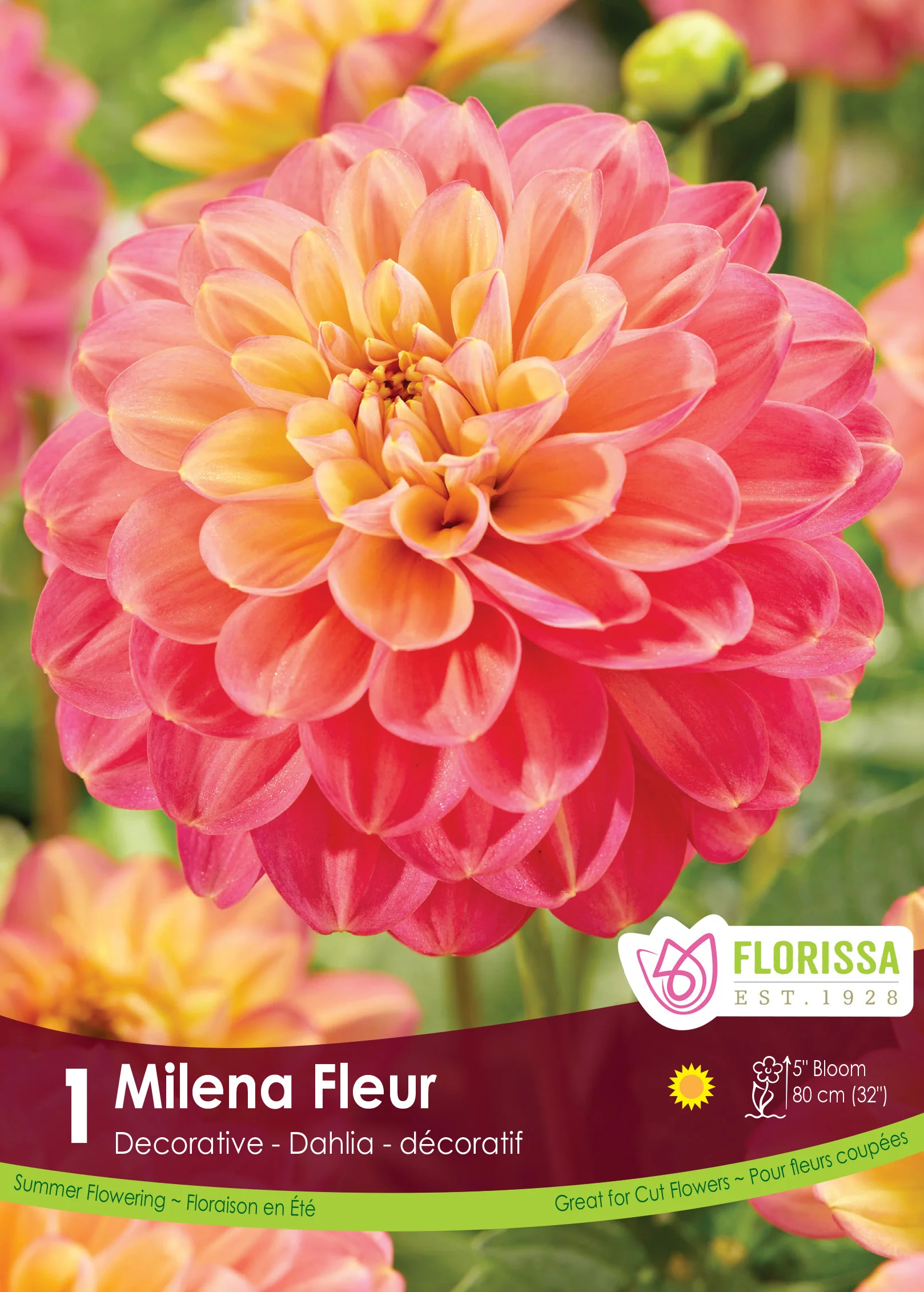 Dahlia - Milena Fleur