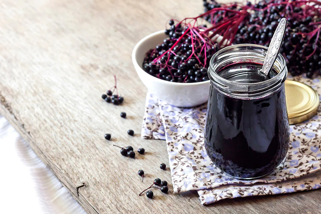 Elderberry - Marge - Image 2