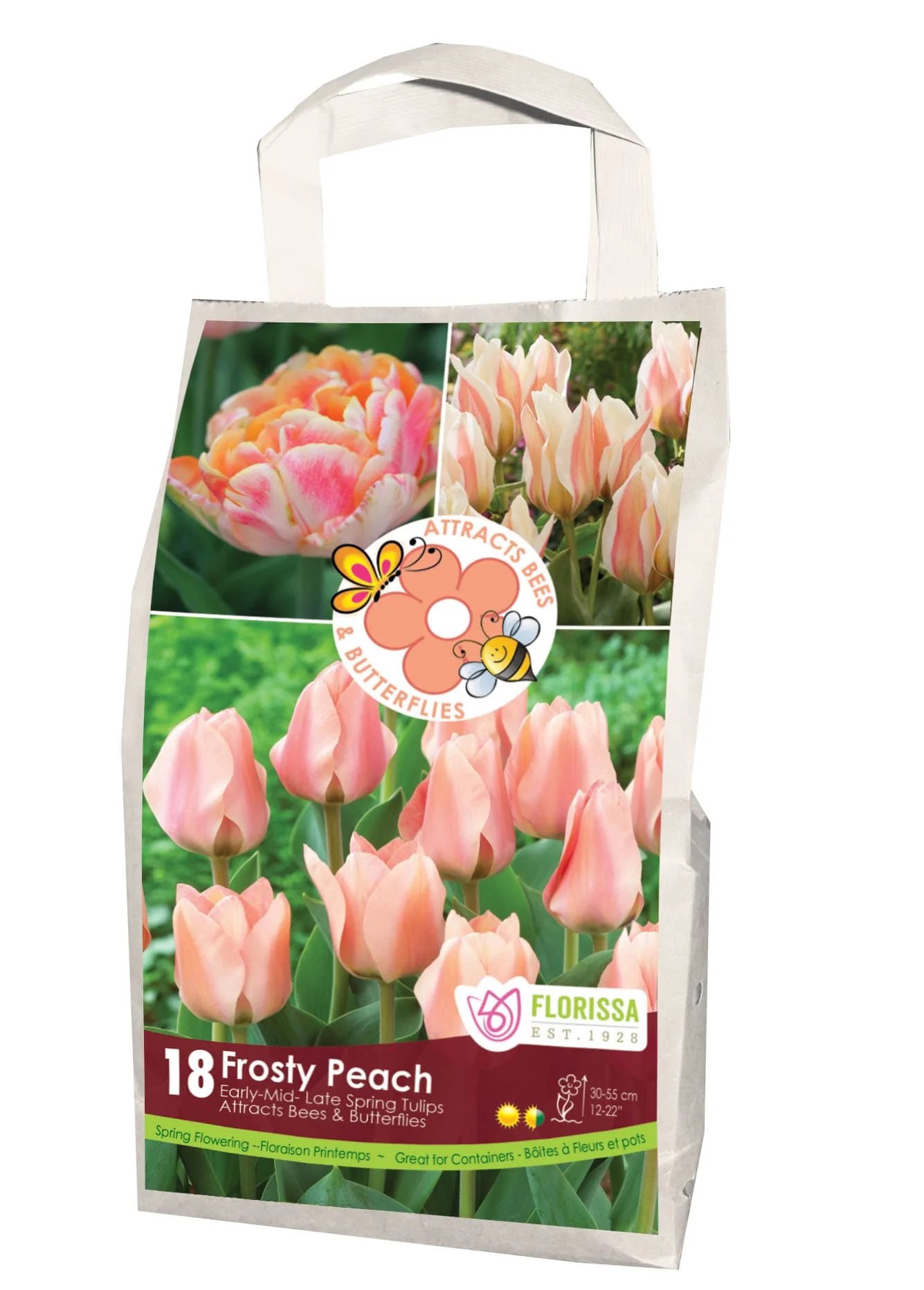 Feed the Pollinators - Frosty Peach Tulips, 18 Pack