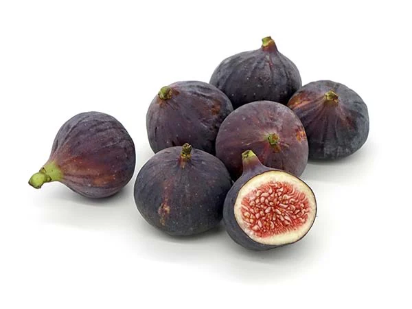 Fig - Chicago Hardy - Image 3