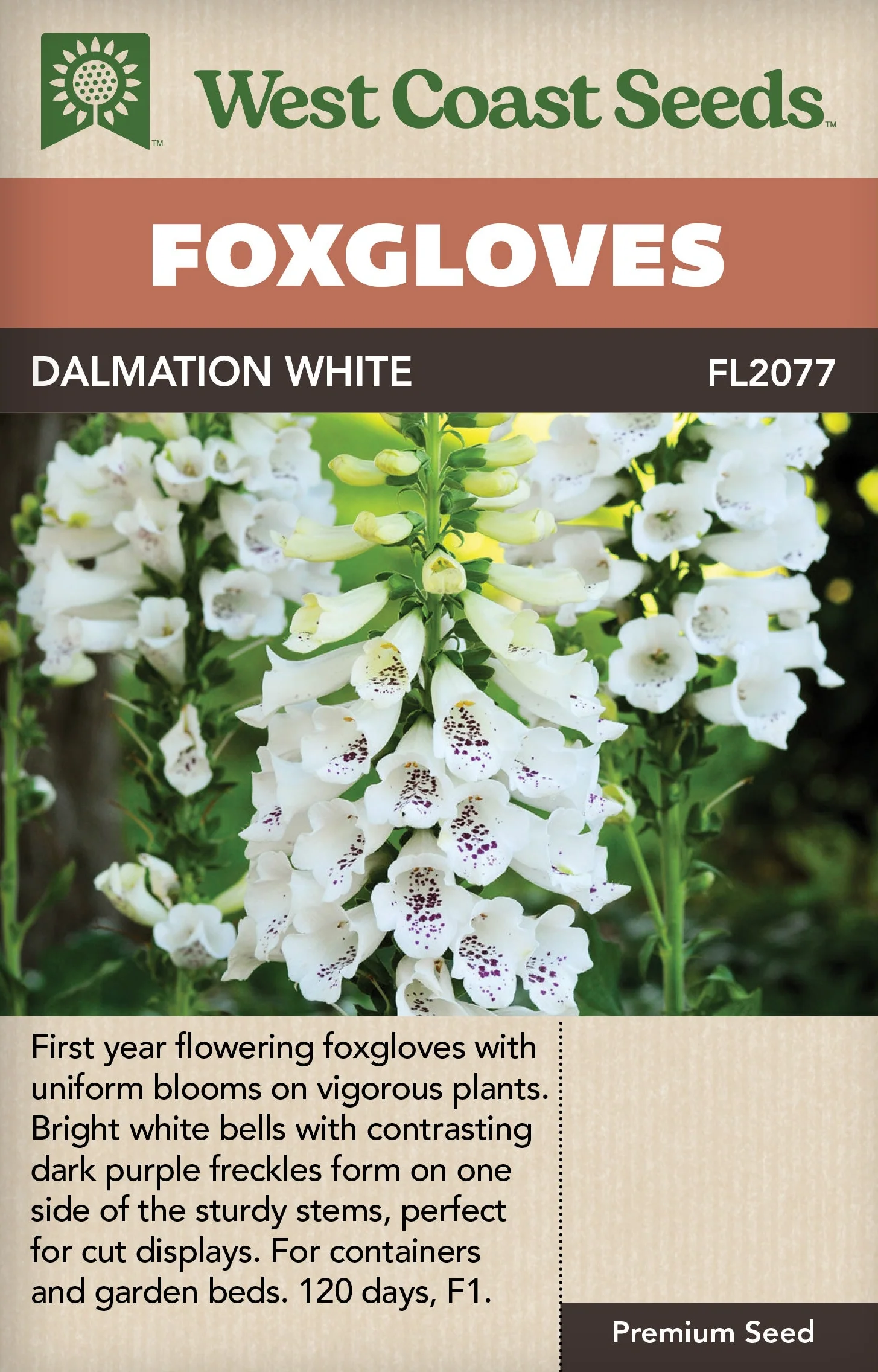 Foxgloves Dalmation White - West Coast Seeds