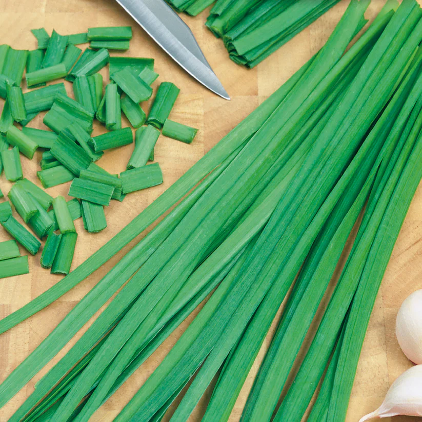 Garlic Chives - McKenzie Seeds - Image 2