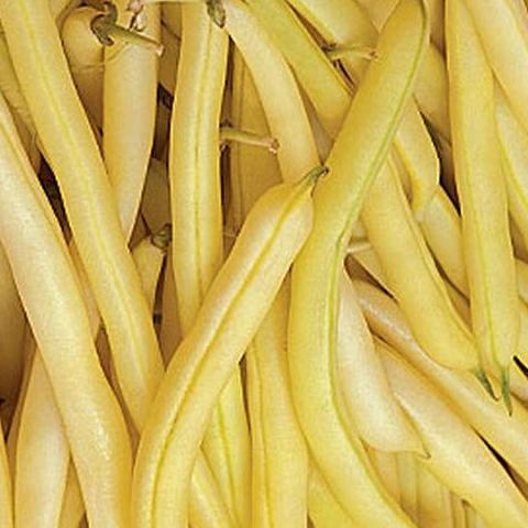 Bean Honey Wax - Good Earth Farms