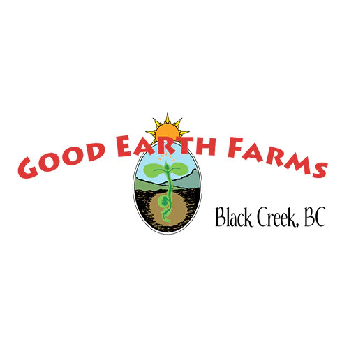 Lettuce Sunfire Red Oak - Good Earth Farms - Image 2