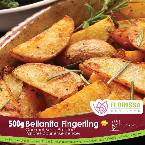 Gourmet Potato - Bellanita, 500g