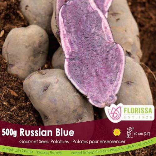 Gourmet Potato - Russian Blue, 500g