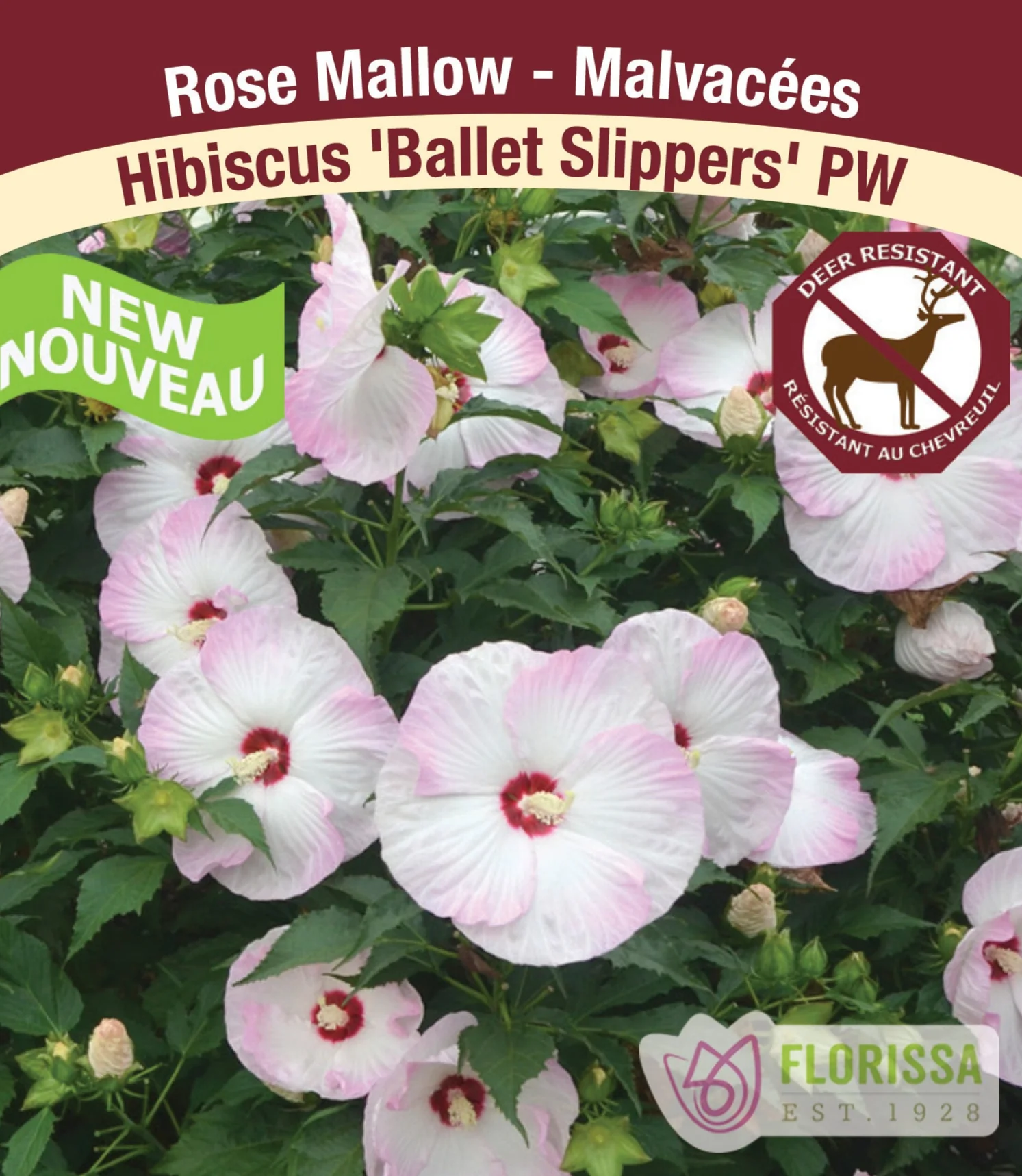 Hibiscus - Summerific® Ballet Slippers, 1 Pack