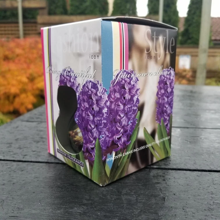 Hyacinths - With Glass Kit - Image 3