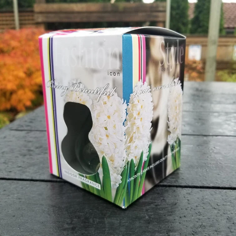 Hyacinths - With Glass Kit - Image 7