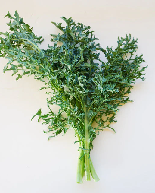 Kale Hydra - West Coast Seeds - Image 2