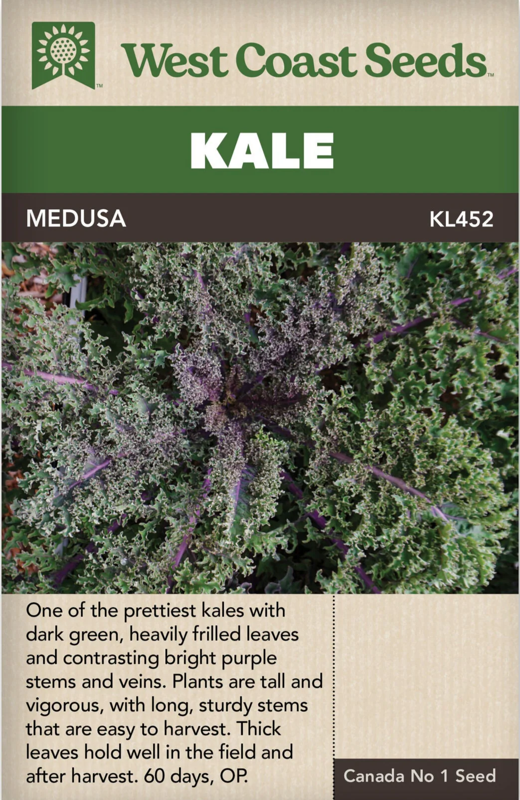 Kale Medusa - West Coast Seeds