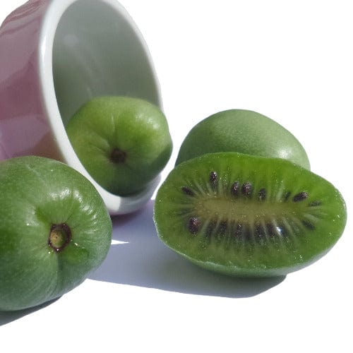 Kiwi - Issai - Image 2