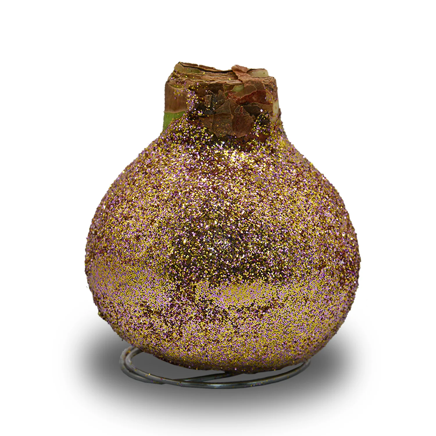 Amaryllis - Waxed Frozen Glitter - Red Bloom - Image 4