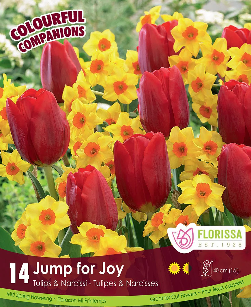 Tulips & Narcissi, Jump for Joy, Colourful Companions  - 14 pack