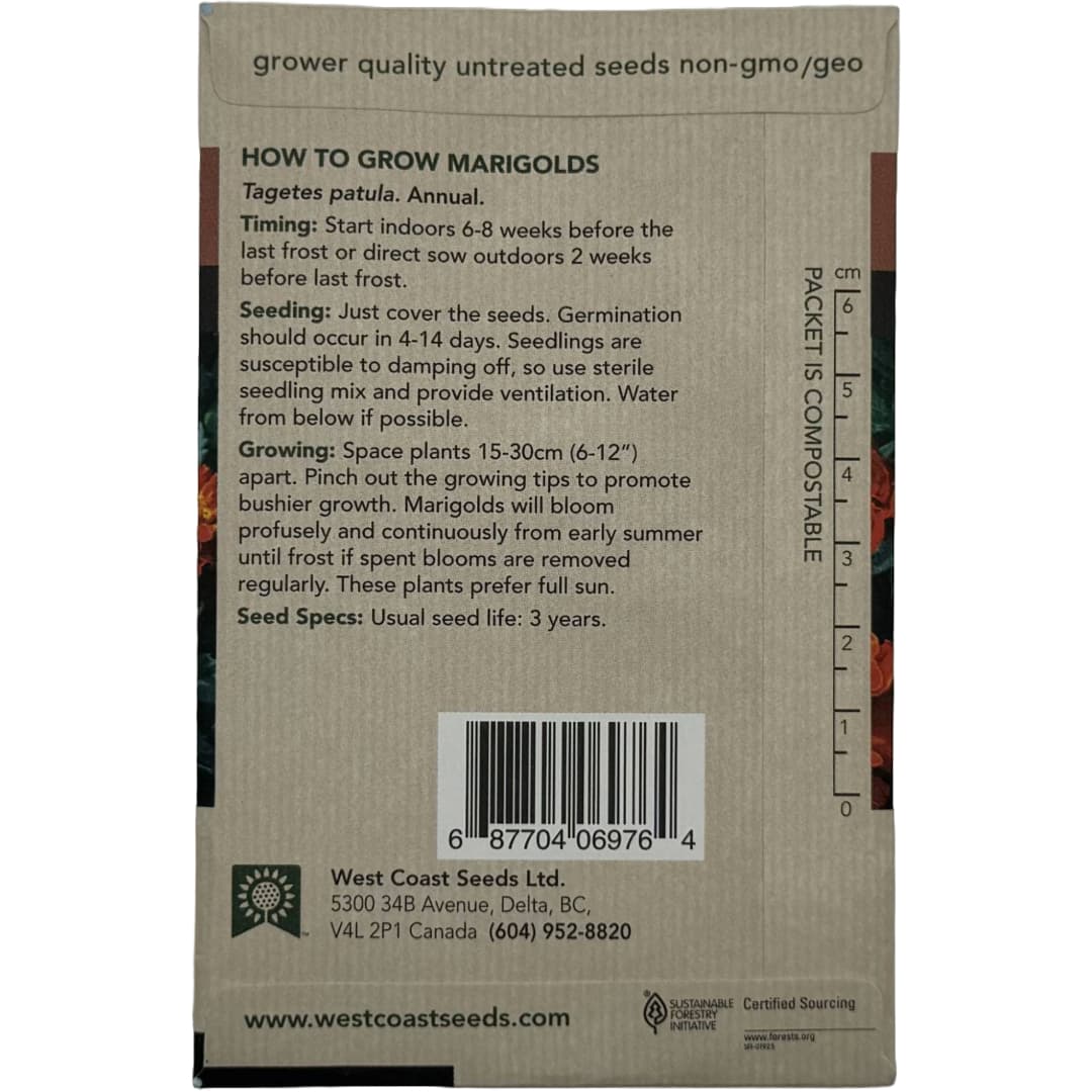Marigolds Red Cherry - West Coast Seeds - Image 3
