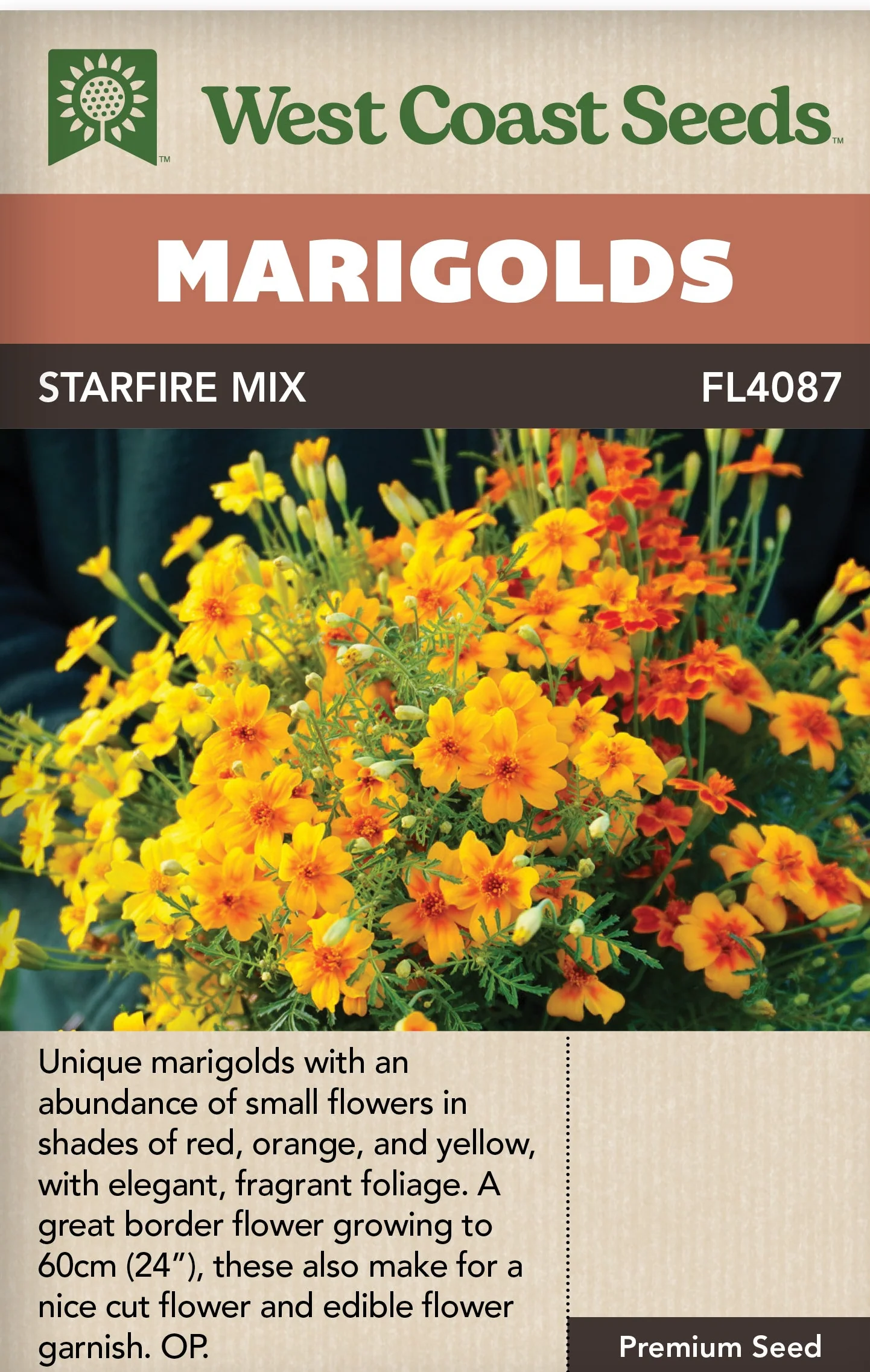Marigolds Starfire Mix - West Coast Seeds