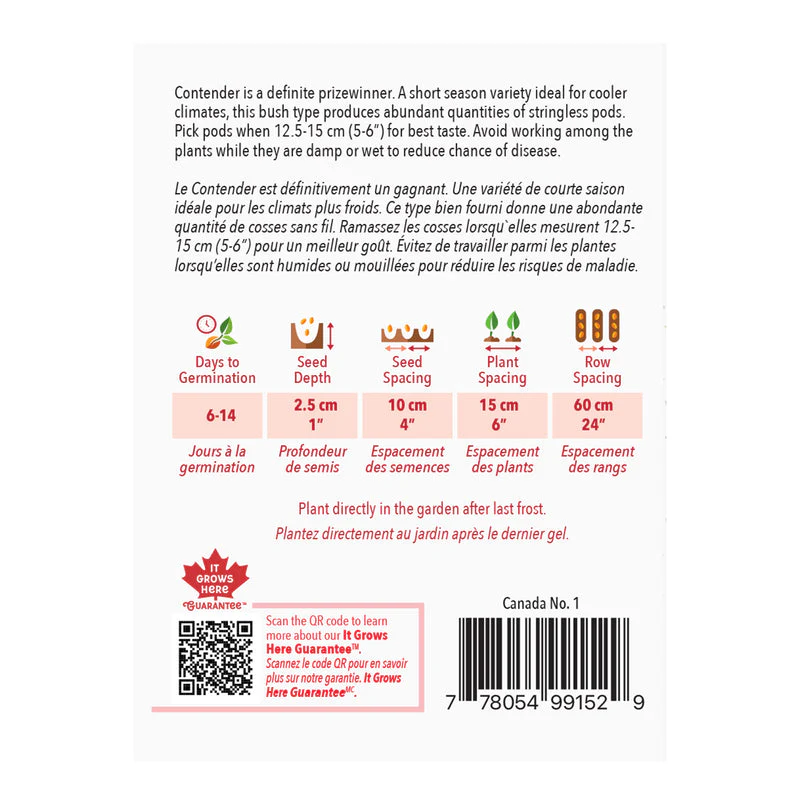 Bean Contender (Bush) - McKenzie Seeds - Image 2