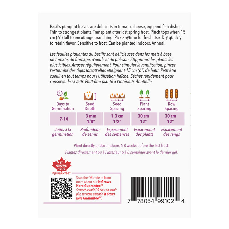 Basil Sweet - McKenzie Seeds - Image 2