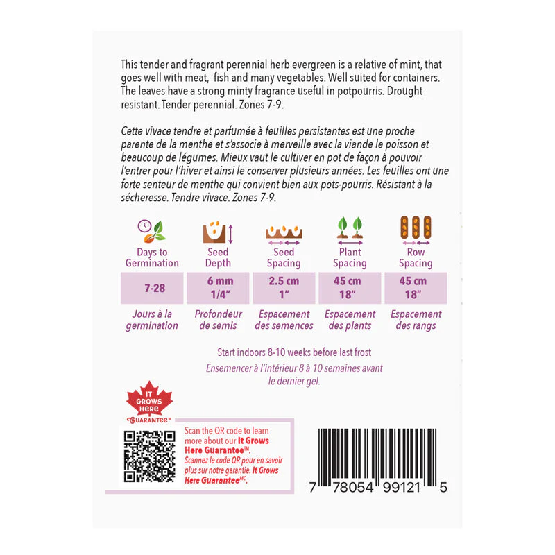 Rosemary - McKenzie Seeds - Image 2