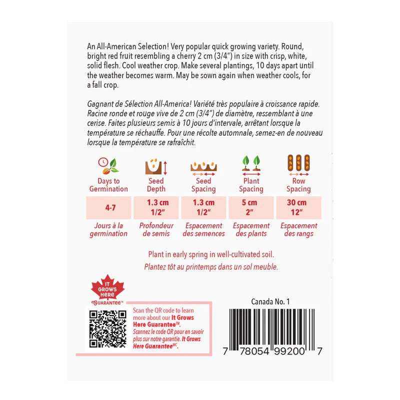 Radish Cherry Belle - McKenzie Seeds - Image 2