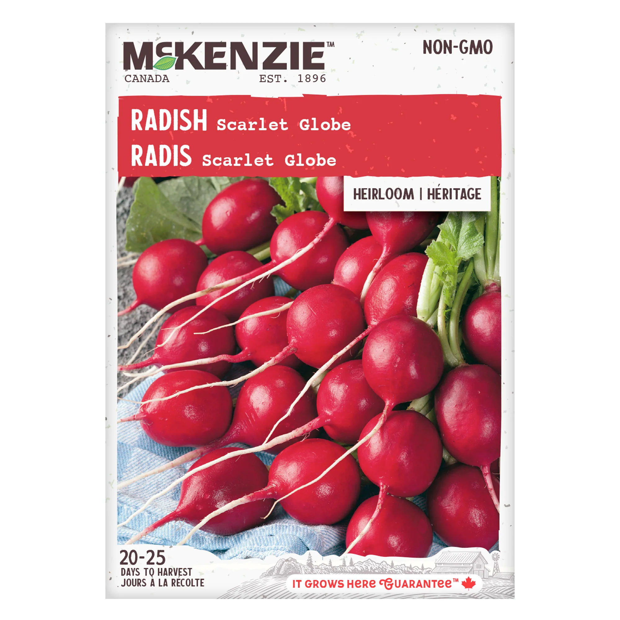 Radish Scarlet Globe - McKenzie Seeds