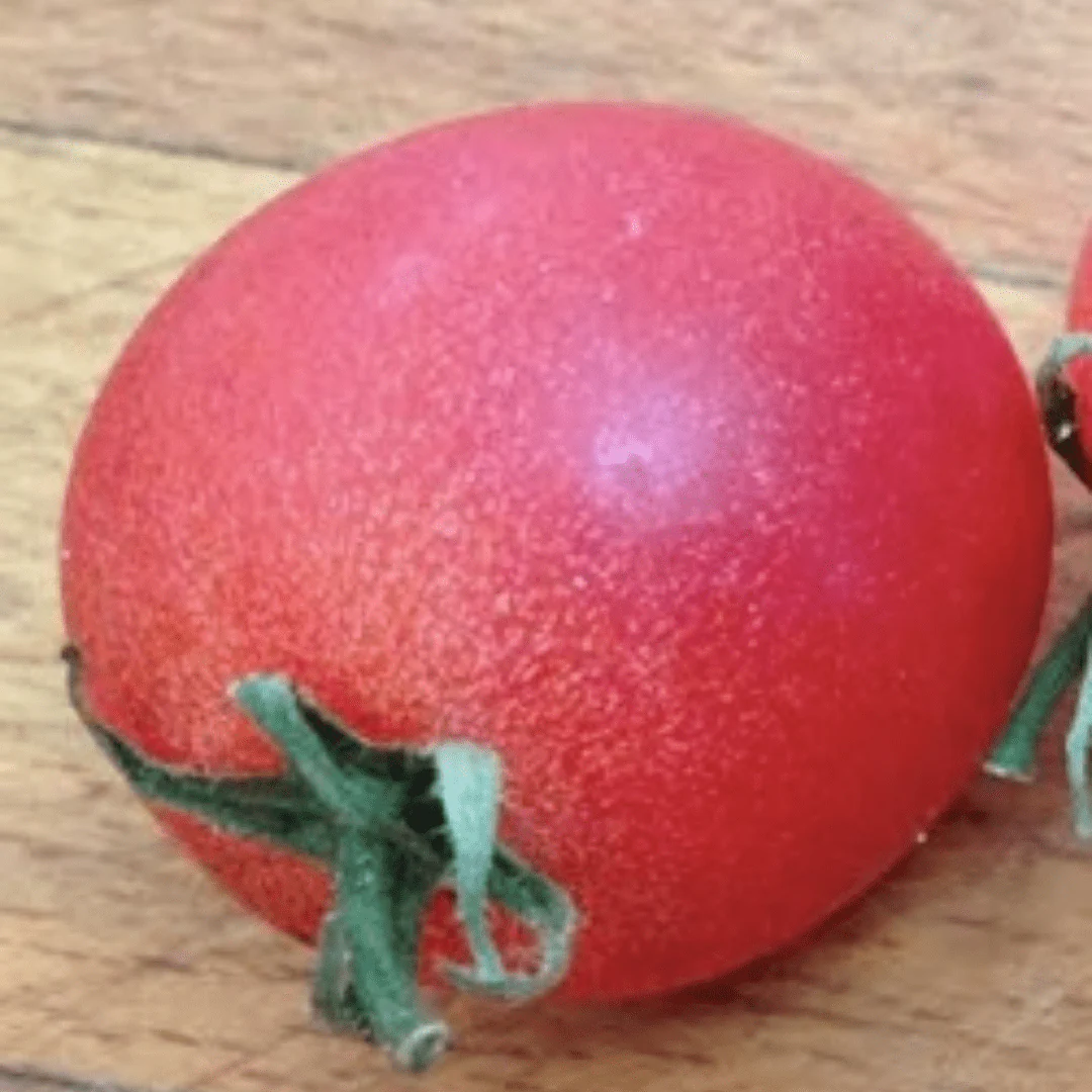 Organic Tomato Strawberry Cherry - Metchosin Farm Seeds - Image 2
