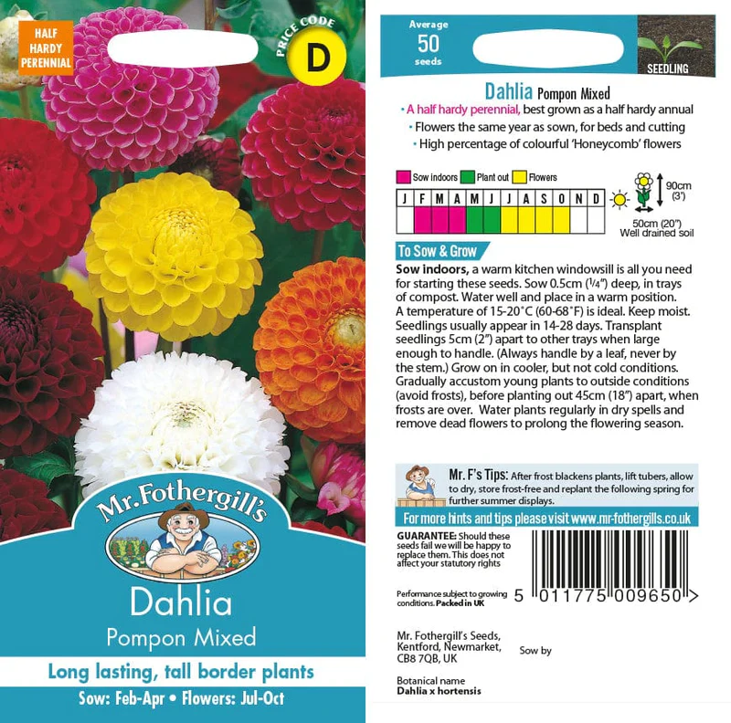 Dahlia Pompon Mixed - Mr. Fothergill's Seeds - Image 2
