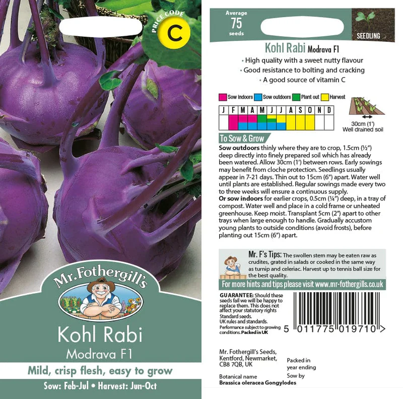 Kohlrabi Modrava F1 - Mr. Fothergill's Seeds - Image 2