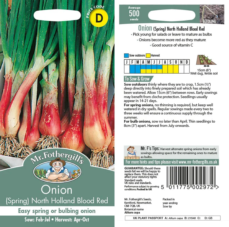 Onion (Green) Blood Red - Mr. Fothergill's Seeds - Image 2